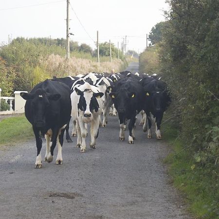 فيلا Greenfields Farmhouse Ballylongford المظهر الخارجي الصورة