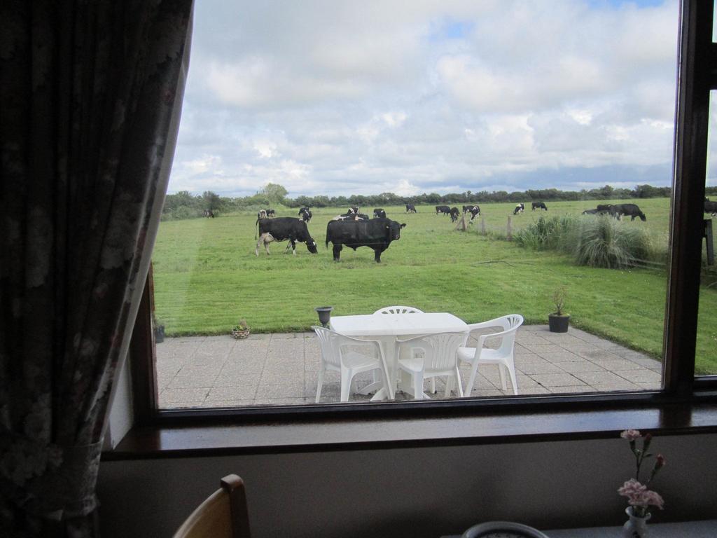 فيلا Greenfields Farmhouse Ballylongford الغرفة الصورة